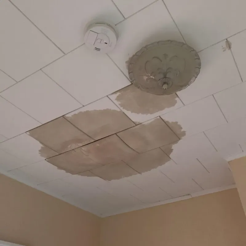 Ceiling Water Damage Repair in New Market, AL