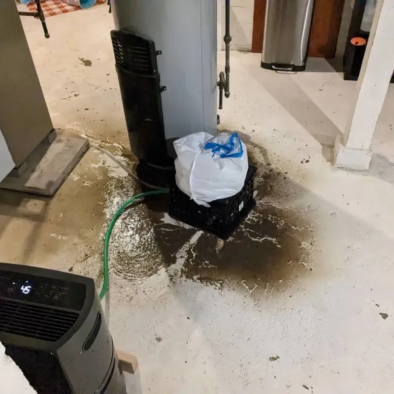Sewage Backup Cleanup Service in New Market, AL